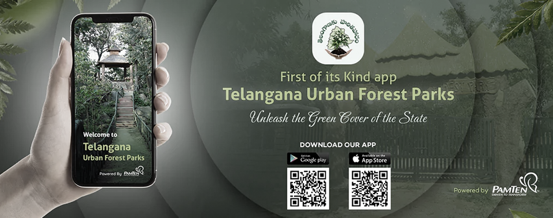 A Walk in the Park with an Interactive Mobile App Helps Grow the Forest